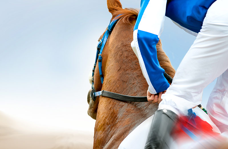 Thoroughbred racing, Greyhound racing and Harness racing codes